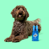 SWIFF for pets