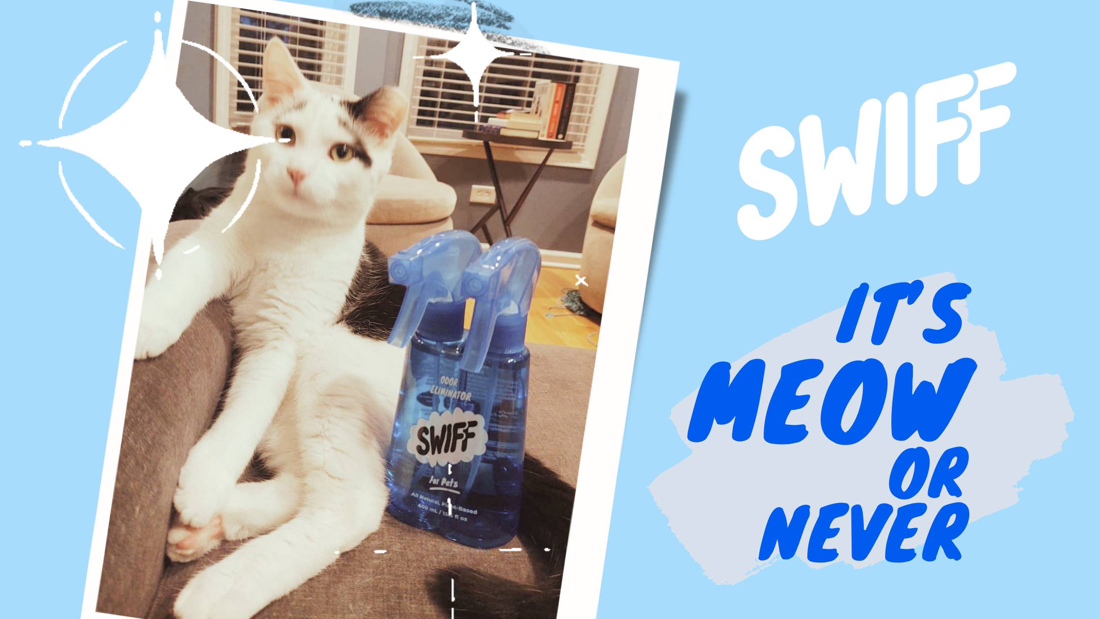 Taming the Litter Box: Stopping Smelly Cat Litter and Bacterial Invade ...
