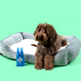 SWIFF for pets (bottle + refill bundle)